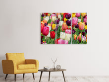 Laden Sie das Bild in den Galerie-Viewer, Leinwandbild 3-teilig Die Farben der Tulpen