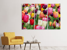 Laden Sie das Bild in den Galerie-Viewer, Leinwandbild 3-teilig Die Farben der Tulpen