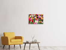 Laden Sie das Bild in den Galerie-Viewer, Leinwandbild 3-teilig Die Farben der Tulpen
