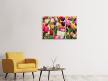 Laden Sie das Bild in den Galerie-Viewer, Leinwandbild 3-teilig Die Farben der Tulpen