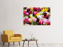 Laden Sie das Bild in den Galerie-Viewer, Leinwandbild 3-teilig Buntes Tulpenfeld