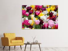 Laden Sie das Bild in den Galerie-Viewer, Leinwandbild 3-teilig Buntes Tulpenfeld