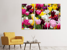 Laden Sie das Bild in den Galerie-Viewer, Leinwandbild 3-teilig Buntes Tulpenfeld
