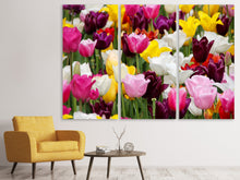 Laden Sie das Bild in den Galerie-Viewer, Leinwandbild 3-teilig Buntes Tulpenfeld