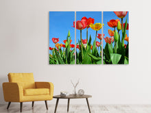 Laden Sie das Bild in den Galerie-Viewer, Leinwandbild 3-teilig Wilde Tulpen