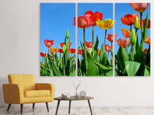 Laden Sie das Bild in den Galerie-Viewer, Leinwandbild 3-teilig Wilde Tulpen
