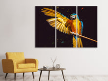 Laden Sie das Bild in den Galerie-Viewer, Leinwandbild 3-teilig Der Ara