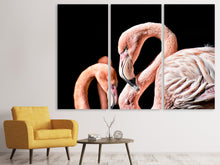 Laden Sie das Bild in den Galerie-Viewer, Leinwandbild 3-teilig Prächtige Flamingos