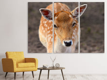 Laden Sie das Bild in den Galerie-Viewer, Leinwandbild 3-teilig Der Damhirsch