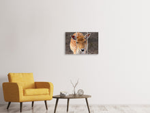 Laden Sie das Bild in den Galerie-Viewer, Leinwandbild 3-teilig Der Damhirsch