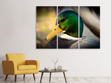 Laden Sie das Bild in den Galerie-Viewer, Leinwandbild 3-teilig Die Stockente