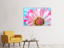 Laden Sie das Bild in den Galerie-Viewer, Leinwandbild 3-teilig Farbige Blume