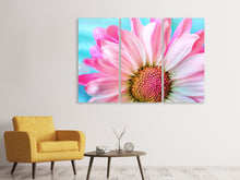 Laden Sie das Bild in den Galerie-Viewer, Leinwandbild 3-teilig Farbige Blume
