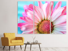 Laden Sie das Bild in den Galerie-Viewer, Leinwandbild 3-teilig Farbige Blume