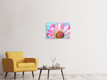 Laden Sie das Bild in den Galerie-Viewer, Leinwandbild 3-teilig Farbige Blume