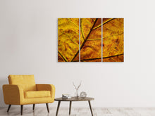 Laden Sie das Bild in den Galerie-Viewer, Leinwandbild 3-teilig Das Herbst Blatt