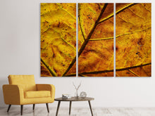 Laden Sie das Bild in den Galerie-Viewer, Leinwandbild 3-teilig Das Herbst Blatt