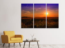 Laden Sie das Bild in den Galerie-Viewer, Leinwandbild 3-teilig Sonnenuntergang am Blumenfeld