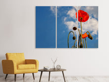 Laden Sie das Bild in den Galerie-Viewer, Leinwandbild 3-teilig Prächtiger Mohn