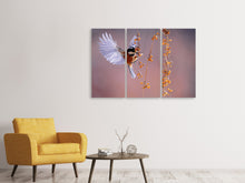 Laden Sie das Bild in den Galerie-Viewer, Leinwandbild 3-teilig Vogel in Aktion