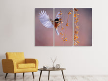 Laden Sie das Bild in den Galerie-Viewer, Leinwandbild 3-teilig Vogel in Aktion