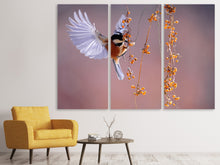 Laden Sie das Bild in den Galerie-Viewer, Leinwandbild 3-teilig Vogel in Aktion