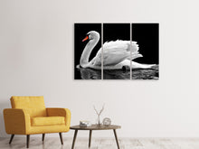 Laden Sie das Bild in den Galerie-Viewer, Leinwandbild 3-teilig Der anmutige Schwan