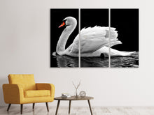 Laden Sie das Bild in den Galerie-Viewer, Leinwandbild 3-teilig Der anmutige Schwan