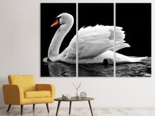 Laden Sie das Bild in den Galerie-Viewer, Leinwandbild 3-teilig Der anmutige Schwan