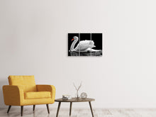 Laden Sie das Bild in den Galerie-Viewer, Leinwandbild 3-teilig Der anmutige Schwan