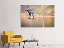 Laden Sie das Bild in den Galerie-Viewer, Leinwandbild 3-teilig Die fliegende Möwe