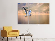 Laden Sie das Bild in den Galerie-Viewer, Leinwandbild 3-teilig Die fliegende Möwe