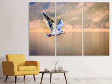 Laden Sie das Bild in den Galerie-Viewer, Leinwandbild 3-teilig Die fliegende Möwe