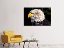 Laden Sie das Bild in den Galerie-Viewer, Leinwandbild 3-teilig Der Adler Kopf
