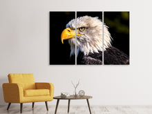 Laden Sie das Bild in den Galerie-Viewer, Leinwandbild 3-teilig Der Adler Kopf