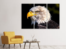 Laden Sie das Bild in den Galerie-Viewer, Leinwandbild 3-teilig Der Adler Kopf