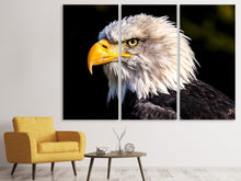 Laden Sie das Bild in den Galerie-Viewer, Leinwandbild 3-teilig Der Adler Kopf