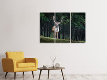 Laden Sie das Bild in den Galerie-Viewer, Leinwandbild 3-teilig Der Damhirsch 2