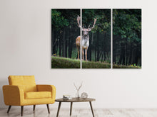Laden Sie das Bild in den Galerie-Viewer, Leinwandbild 3-teilig Der Damhirsch 2