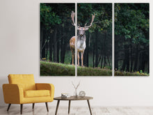 Laden Sie das Bild in den Galerie-Viewer, Leinwandbild 3-teilig Der Damhirsch 2
