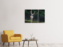 Laden Sie das Bild in den Galerie-Viewer, Leinwandbild 3-teilig Der Damhirsch 2