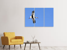 Laden Sie das Bild in den Galerie-Viewer, Leinwandbild 3-teilig Der Storch in Aktion