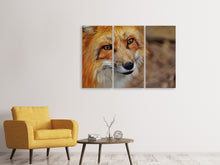 Laden Sie das Bild in den Galerie-Viewer, Leinwandbild 3-teilig Der Fuchs