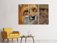 Laden Sie das Bild in den Galerie-Viewer, Leinwandbild 3-teilig Der Fuchs