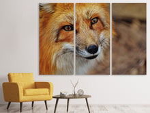 Laden Sie das Bild in den Galerie-Viewer, Leinwandbild 3-teilig Der Fuchs