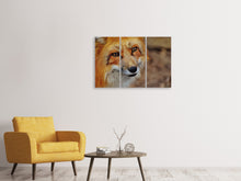 Laden Sie das Bild in den Galerie-Viewer, Leinwandbild 3-teilig Der Fuchs