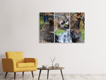 Laden Sie das Bild in den Galerie-Viewer, Leinwandbild 3-teilig Grizzly Kampf