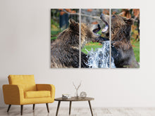 Laden Sie das Bild in den Galerie-Viewer, Leinwandbild 3-teilig Grizzly Kampf