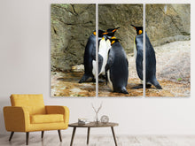 Laden Sie das Bild in den Galerie-Viewer, Leinwandbild 3-teilig König Pinguine