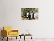 Laden Sie das Bild in den Galerie-Viewer, Leinwandbild 3-teilig König Pinguine